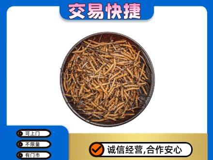 天水张家川县高价回收散虫草